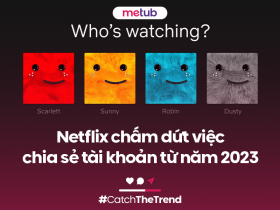 Netflix chấm dứt việc chia sẻ tài khoản từ năm 2023
