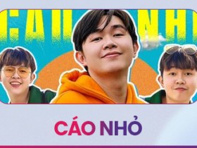CÁO NHỎ