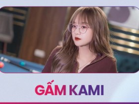 GẤM KAMI