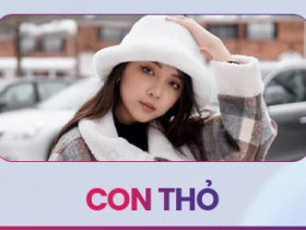 CON THỎ